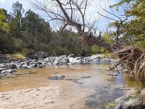 Un entorno natural único