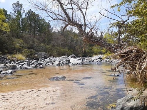 Río para familias y niños