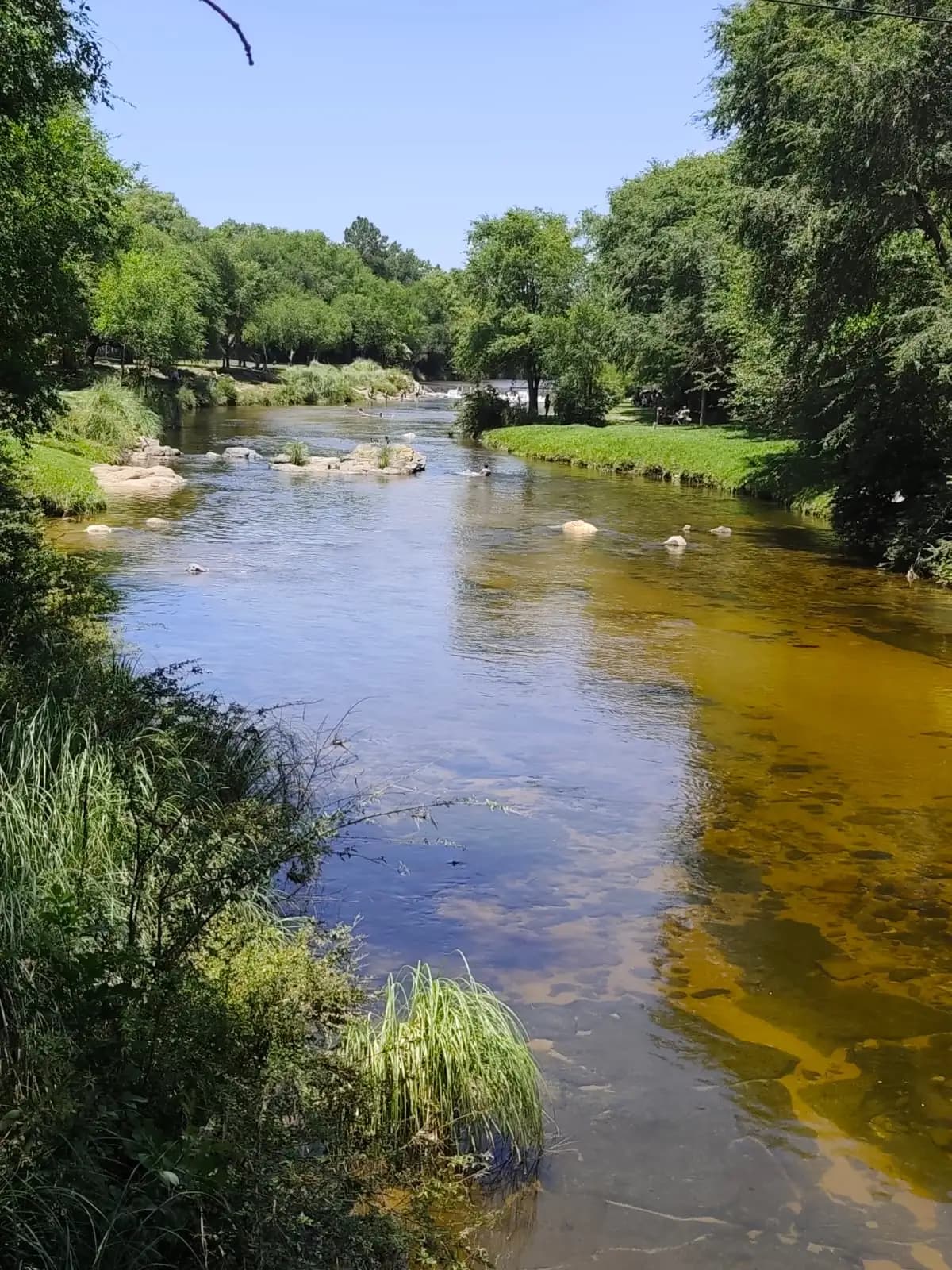 Cabañas cerca del rio Los Reartes, rodeadas de naturaleza